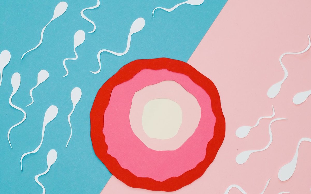 An illustration of sperm approaching an egg