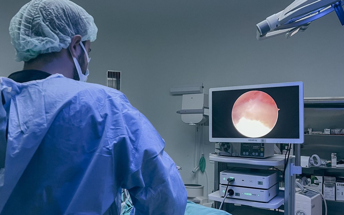 A surgeon performing an endoscopic procedure