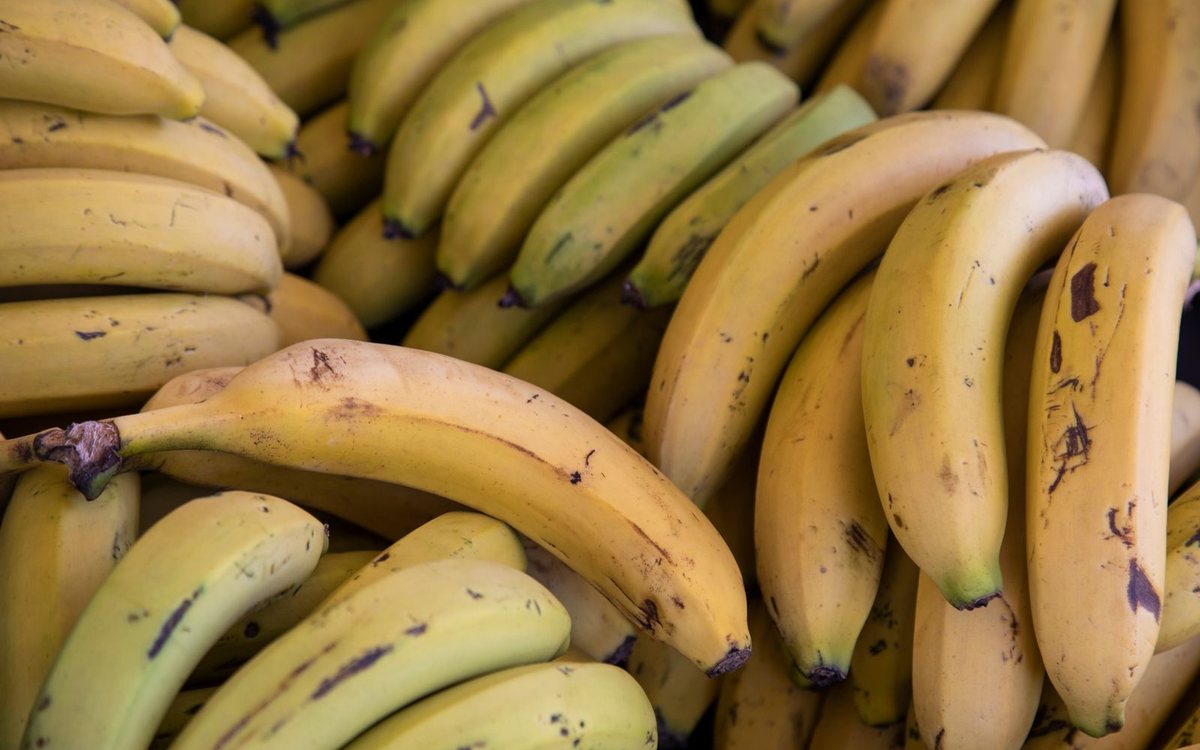 A close-up of fresh ripe bananas