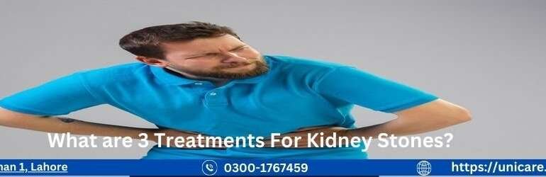 What are 3 Treatments For Kidney Stones What are 3 Treatments For Kidney Stones